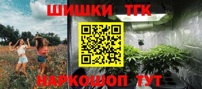 МДПВ Гагарин